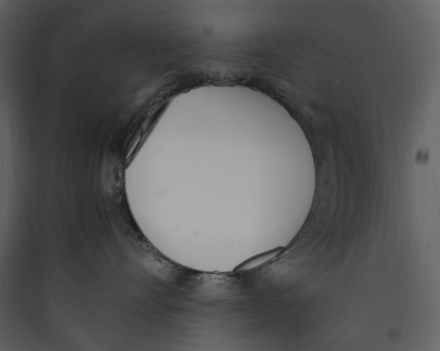 X0000089400528200707131742