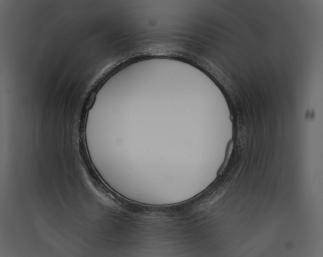 X0000089400530200707131742