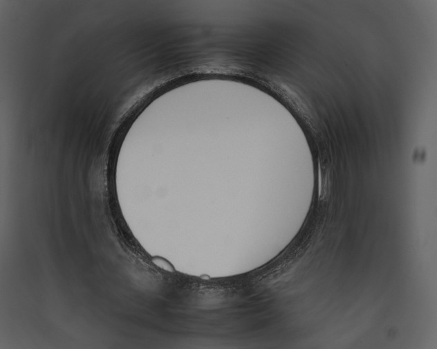 X0000089400531200707131742