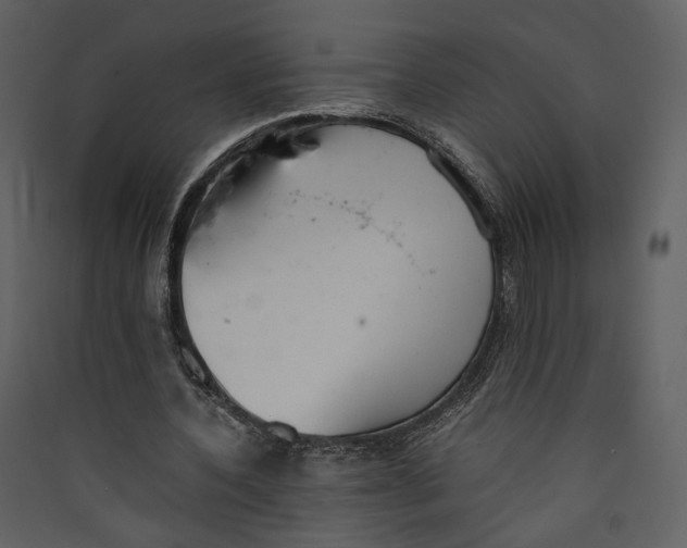 X0000089400532200707131742