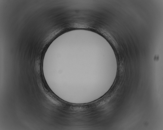 X0000089400533200707131742