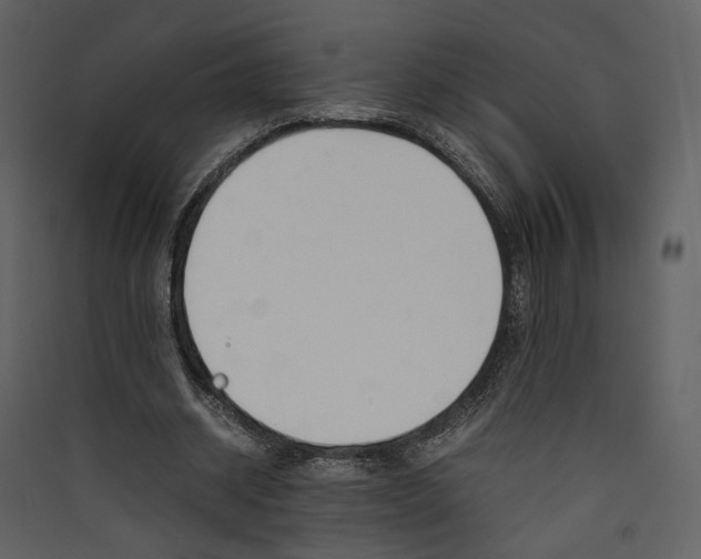 X0000089400534200707131742