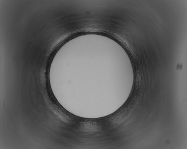 X0000089400535200707131742