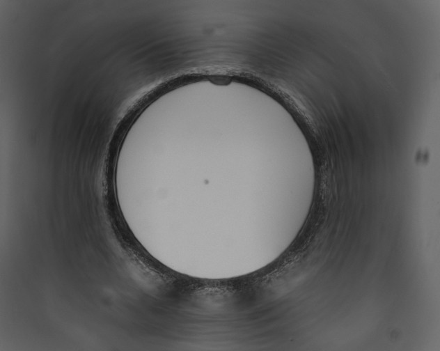 X0000089400536200707131742