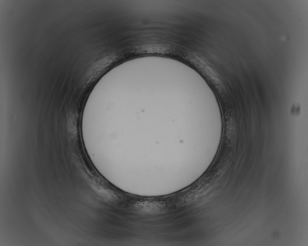 X0000089400537200707131742