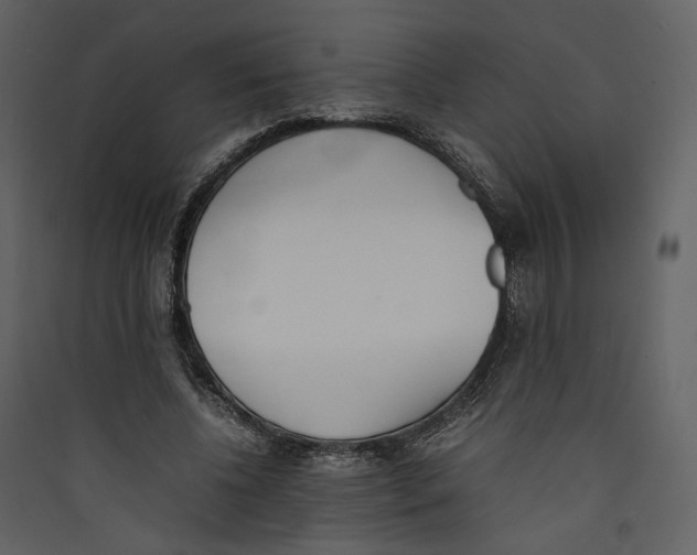 X0000089400540200707131742