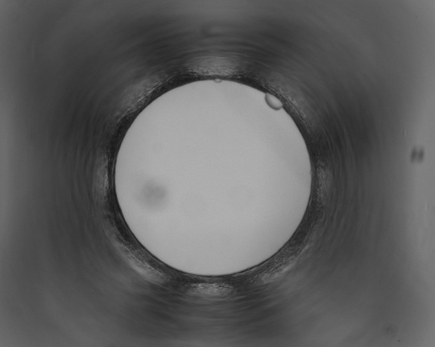 X0000089400541200707131742