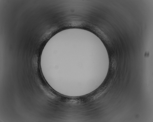 X0000089400542200707131742