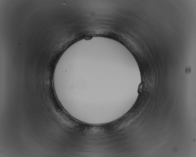 X0000089400546200707131742
