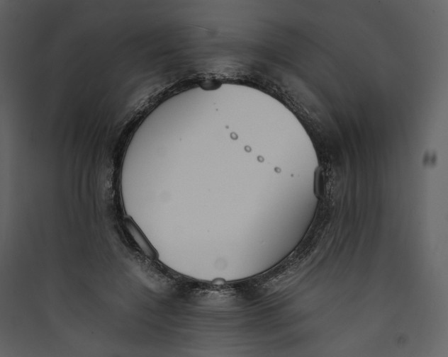 X0000089400548200707131742