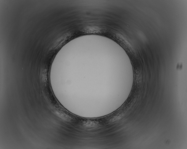 X0000089400549200707131742