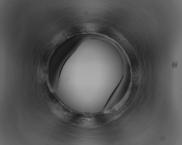X0000089400552200707131742