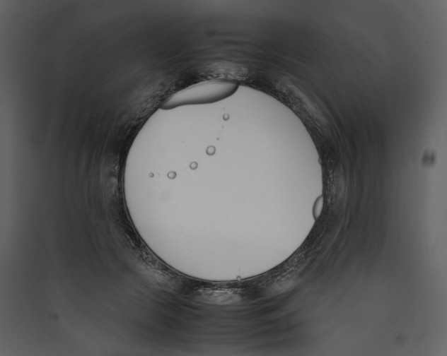 X0000089400553200707131742