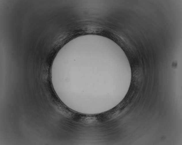 X0000089400554200707131742