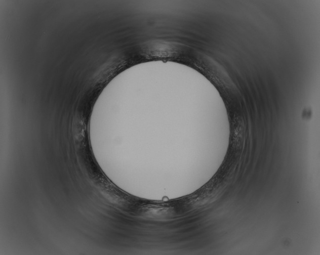 X0000089400555200707131742
