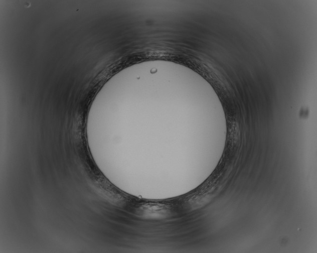 X0000089400557200707131742