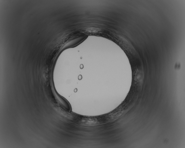 X0000089400559200707131742