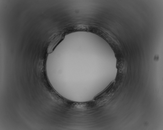 X0000089400560200707131742