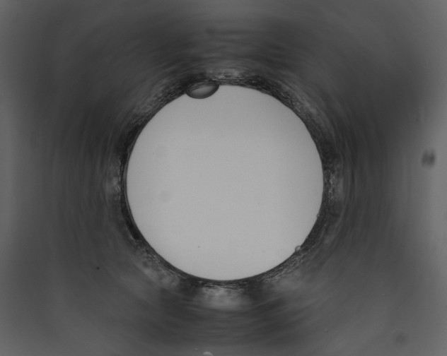 X0000089400561200707131742