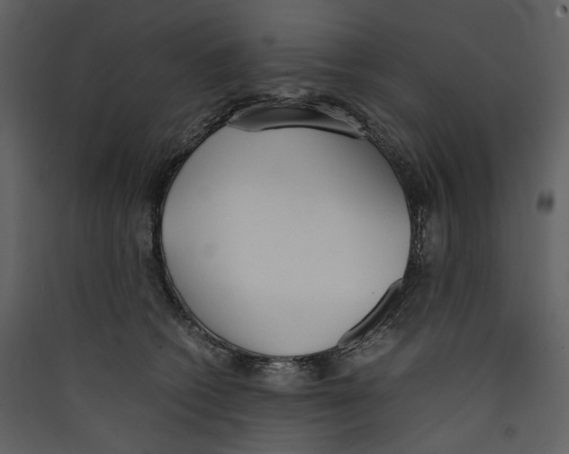 X0000089400562200707131742
