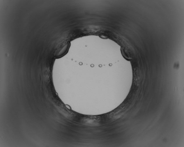 X0000089400563200707131742