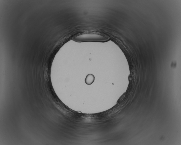 X0000089400564200707131742