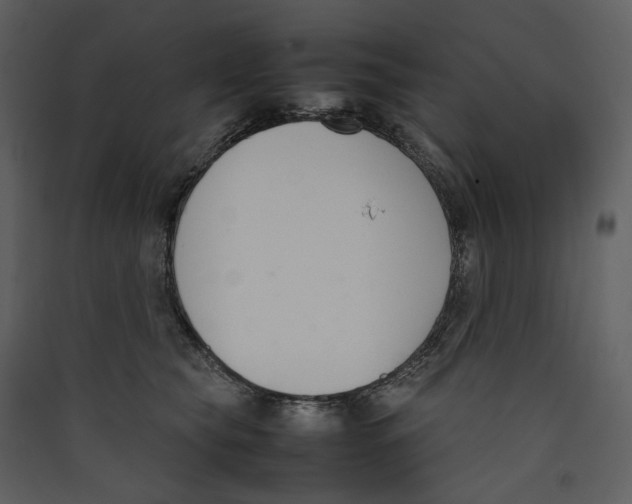 X0000089400565200707131742