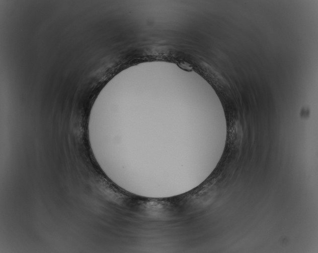 X0000089400566200707131742