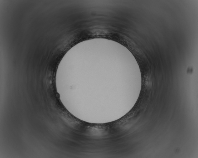 X0000089400567200707131742