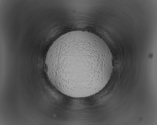 X0000089400568200707131742