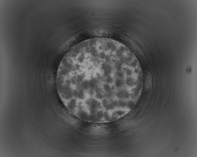 X0000089400569200707131742