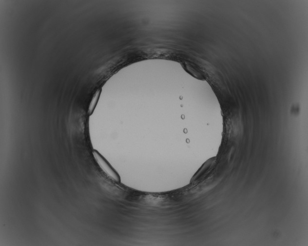 X0000089400570200707131742