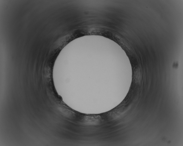 X0000089400571200707131742