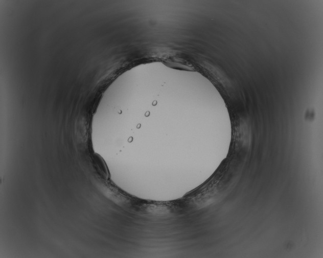 X0000089400572200707131742