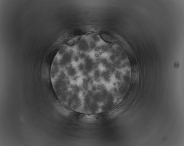 X0000089400573200707131742