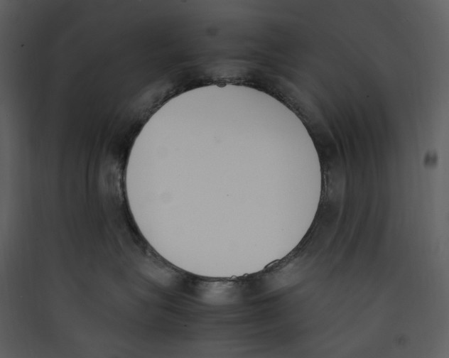 X0000089400575200707131742