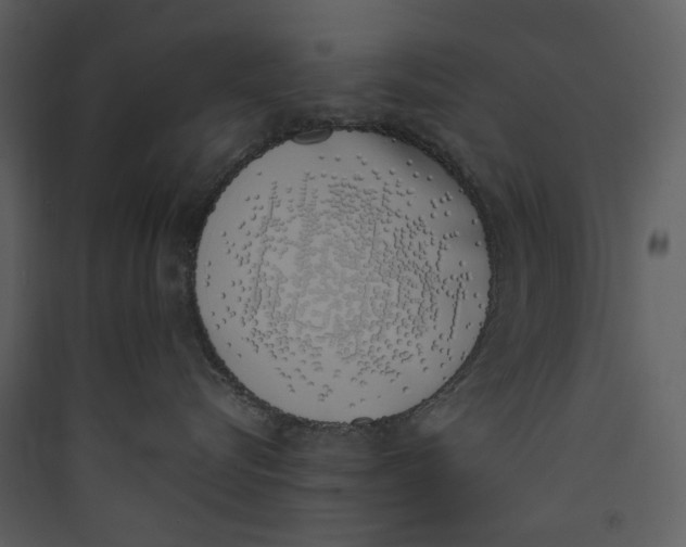 X0000089400576200707131742