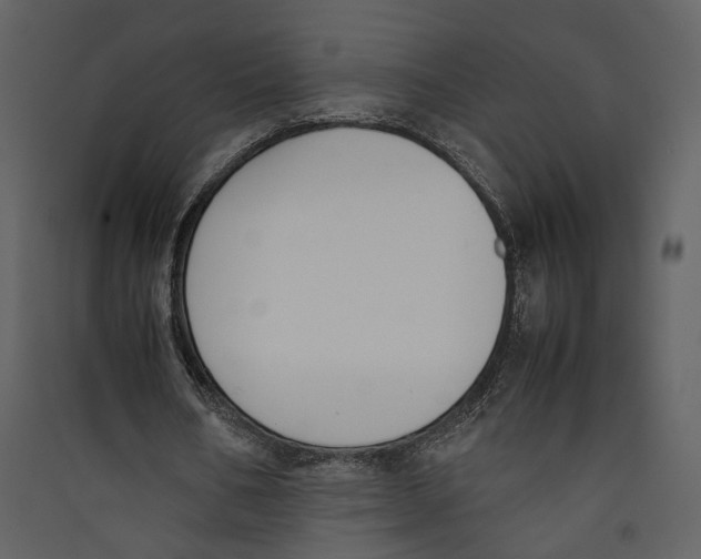 X0000089400578200707131742