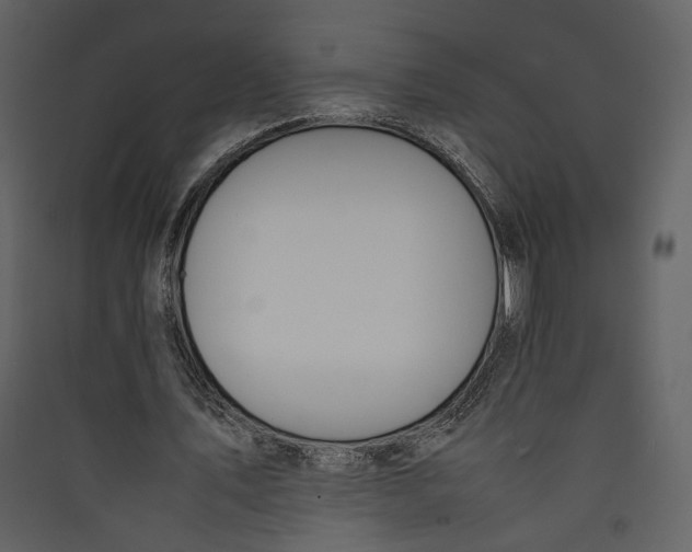 X0000089400579200707131742