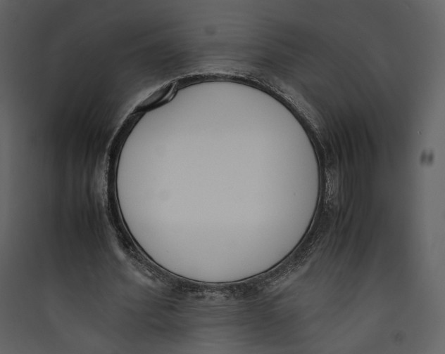 X0000089400580200707131742