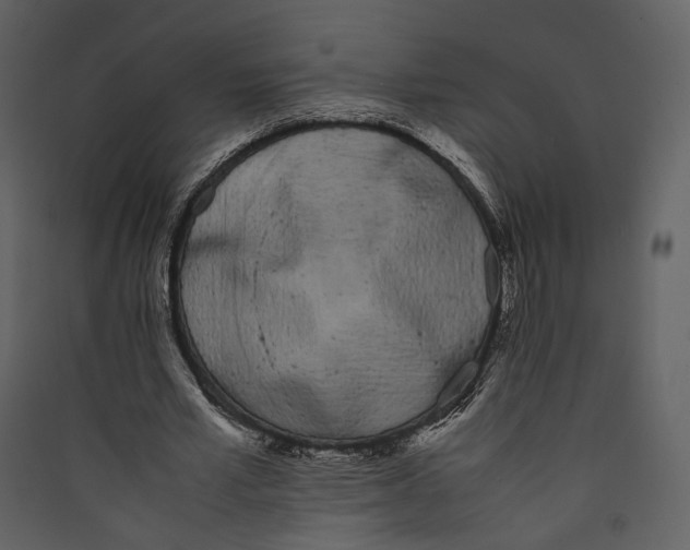 X0000089400581200707131742
