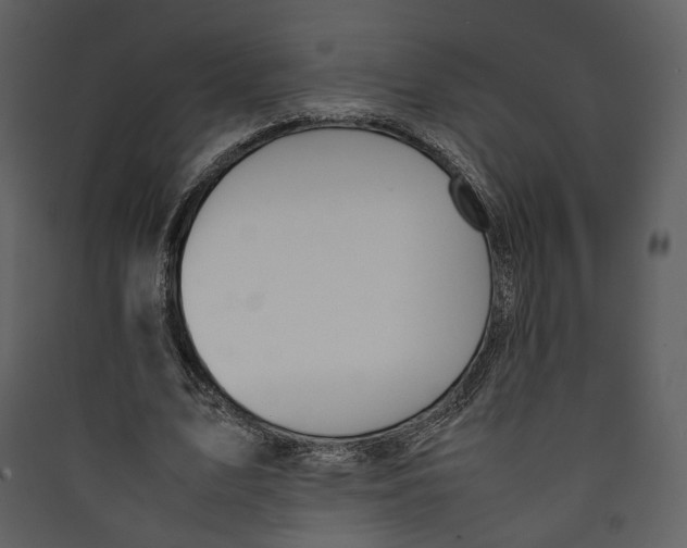 X0000089400583200707131741