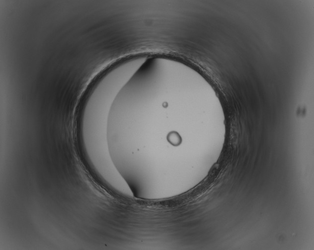 X0000089400584200707131741