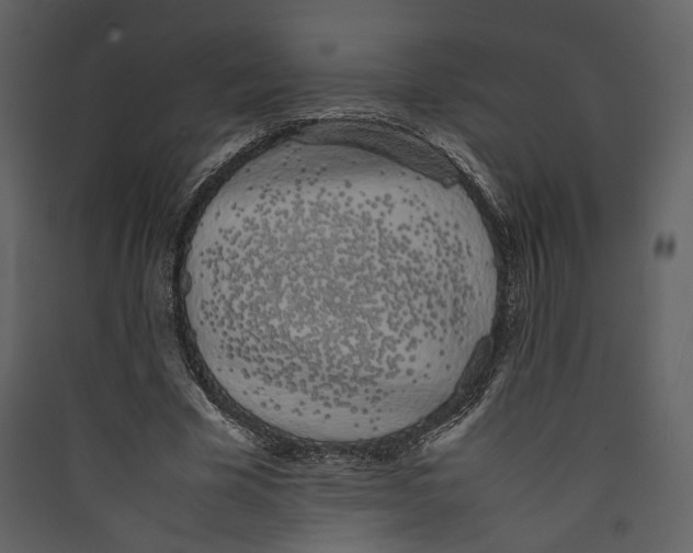 X0000089400585200707131741