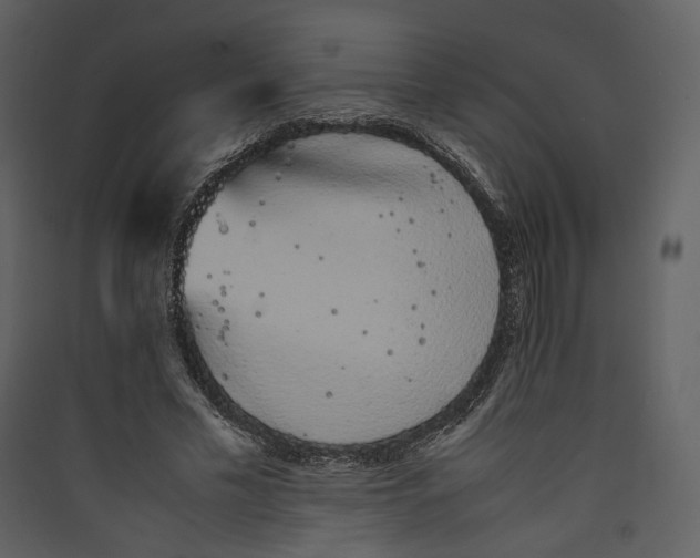 X0000089400589200707131741