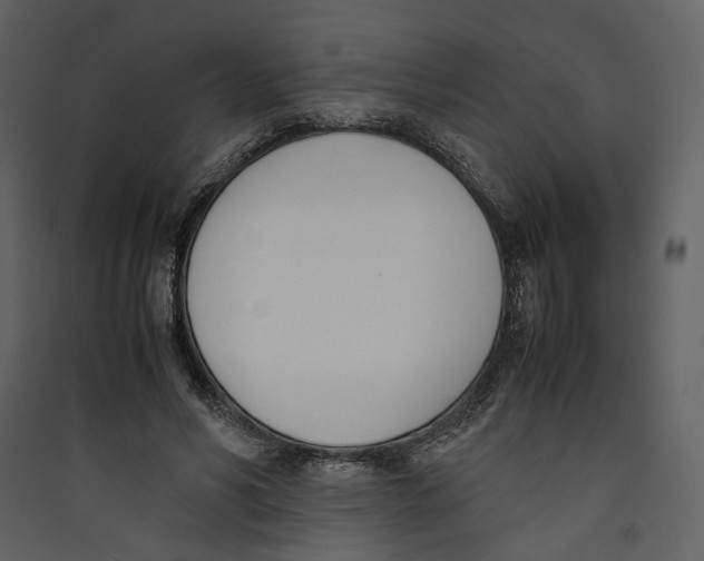 X0000089400590200707131741