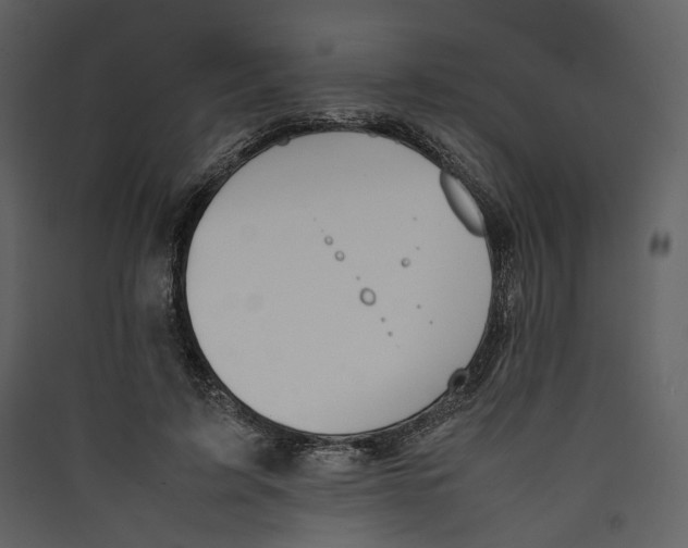 X0000089400595200707131741