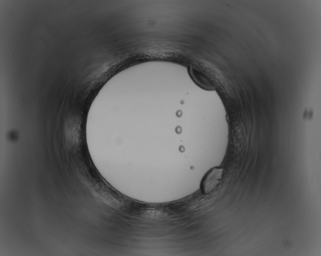 X0000089400596200707131741