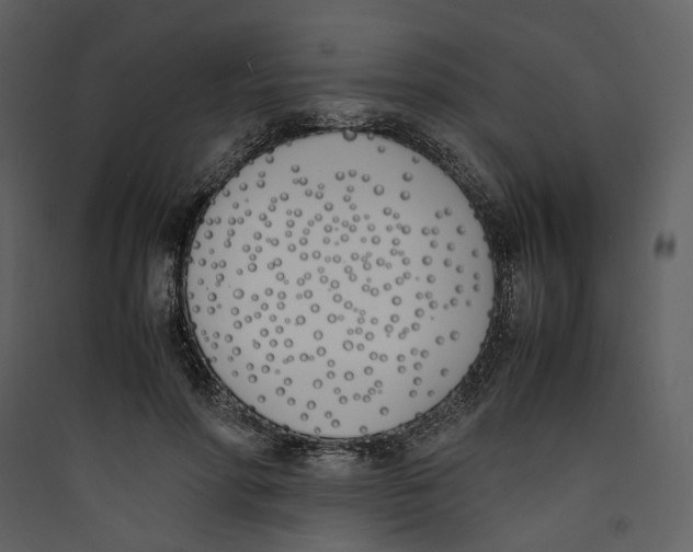 X0000089400598200707131741