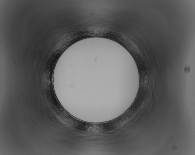 X0000089400599200707131741